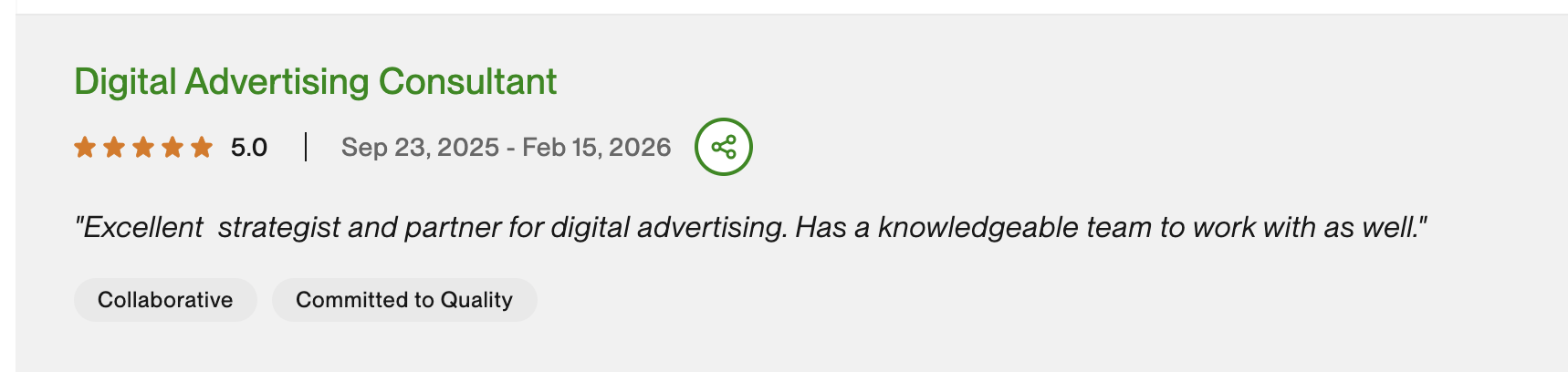 5-star Upwork review for Digital Advertising Consultant